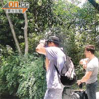 九龍公園深受遊人歡迎，當中不乏訪港遊客。