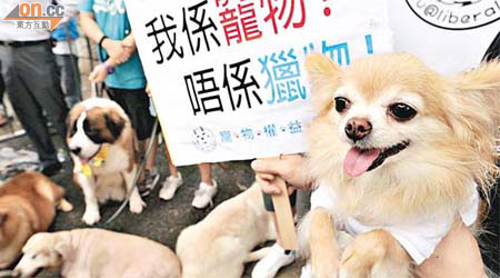 有團體帶同寵物到立會外示威，要求當局加強保護動物。	（黃仲民攝）