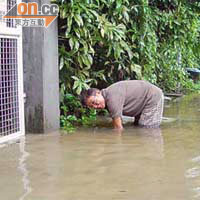 元朗大旗嶺村受大雨影響出現水浸，水深一度及膝。