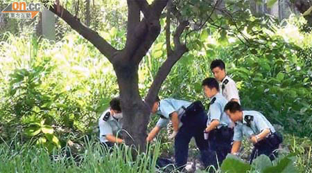 張女在公路旁的大樹上自縊身亡，警員將她解下放在地上調查。	（翁火攝）