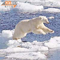北極正面對全球暖化，生態令人關注。	（資料圖片）
