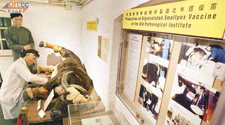 香港曾利用活牛生產牛痘疫苗，為市民接種，天花感染個案大幅下降。「神奇疫苗」展覽設有模擬模型，將此過程展現出來。