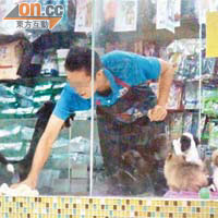 廖智勇每天到寵物店上班，表現勤奮，清洗寵物籠亦十分細心。