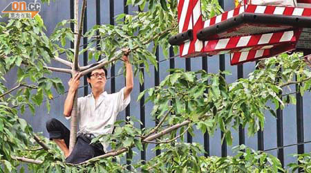 控方指被告宋新太爬樹抗議造成公眾妨擾。