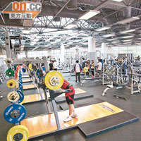 健身室備有多種舉重器材令玩家不知「從何入手」，蘇志雄建議先進行下肢肌肉訓練。