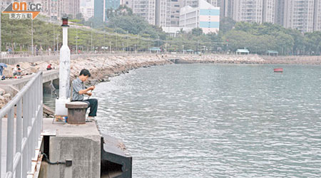 荃灣海濱長廊海水含菌量高，每到日曬就會傳出如坑渠水的惡臭。（設計圖片）