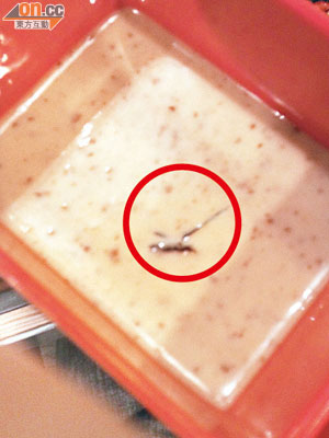 火鍋麻醬內附有蟑螂（圓圈示），令食客大感倒胃。（讀者提供）