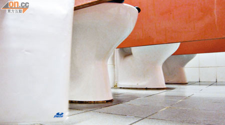 女廁廁格分隔板與地面的空隙逾一呎，可窺見隔鄰整個坐廁。