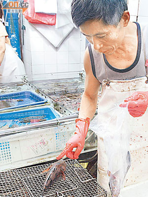 檔主表示不滿食環署對街市的管理。（左錦鴻攝）