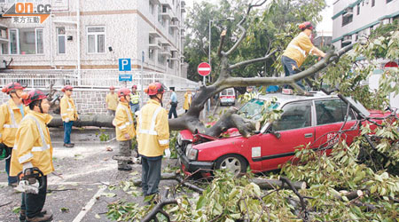 颱風襲港期間，市民最常見受傷為跌倒，其次受外物如樹木、窗墮下擊中受傷。