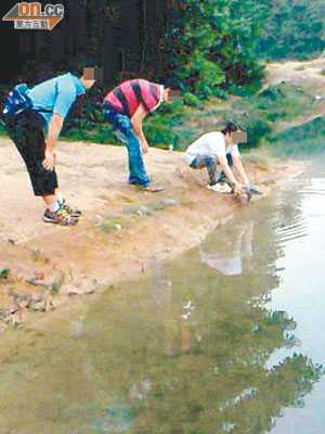 本報早前在石梨貝水塘，目擊數名市民公然將動物帶到水塘放生。