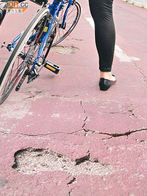 單車徑路面凹凸不平，市民不慎駛過隨時會絆倒受傷。（設計圖片）