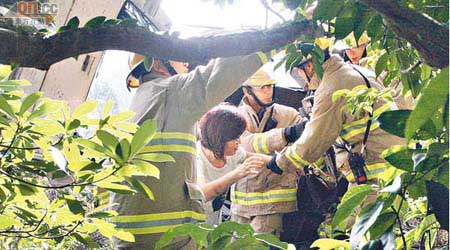 第一時間圖片<br>女編導冼燕芳由消防員協助爬出車。（曾紹良攝）