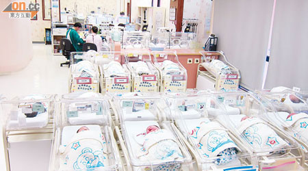 私家醫院過去兩年接收大批內地孕婦來港產子個案。