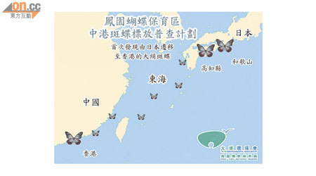 大絹斑蝶從日本一直南飛至香港，期間曾於和歌山及高知縣停留。