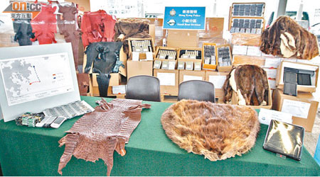 水警展示檢獲的名貴鱷魚皮、皮草以及一批平板電腦。（梁卓明攝）