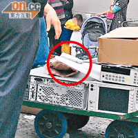 記者在上水港鐵站外發現有人放置一疊疑似ID93表格在手推車之上（圓圈示）。
