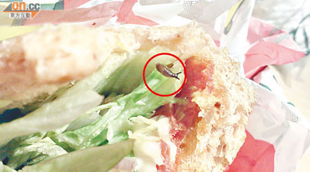 三文治內清晰可見蔬菜中夾有一條小肥蟲（紅圈示）。（讀者提供）