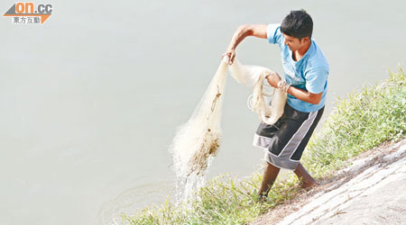 昨日仍有南亞裔人士在坑渠附近的梧桐河捕魚。