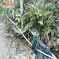 長沙欄村山上水管不少地方已生銹及出現滲漏。