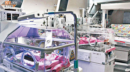雙非嬰增多加重公院護理病房負擔。