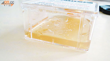 伊利沙伯醫院率先引入「蛆蟲生物清創法」，蛆蟲由無菌實驗室培植。