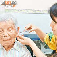 工作人員會利用鉗子幫助長者將磁貼貼在耳廓各個穴位。