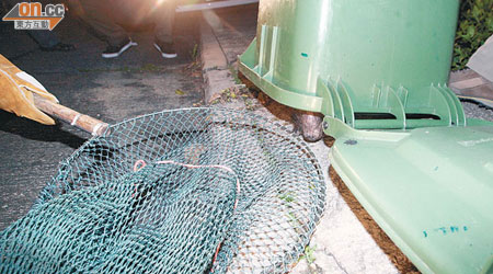漁護署人員掀起垃圾桶圖捉走箭豬。（周宏杰攝）
