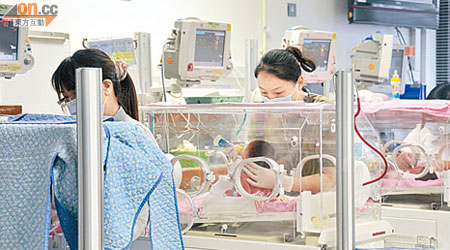 近年內地孕婦湧港產子，具新生嬰兒深切治療專業知識的護士需求甚殷。