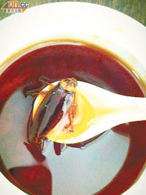 有食客昨在九龍城的「大婆牛肉麵」發現辣椒油罐內藏有大曱甴。
