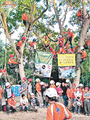 去年國際攀樹比賽，吸引數十名世界各地好手參加。（香港樹木學會提供）