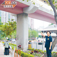 譚惠珍認為長安邨天橋應加建升降機連接地面，方便居民。