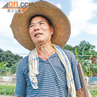 農民陳先生表示不知道政府對元朗南的土地使用進行研究。