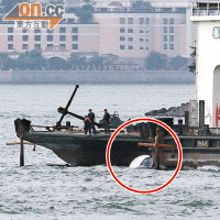 婦人抓着翻沉的舢舨（紅圈示）漂近躉船旁獲救。（文健雄攝）