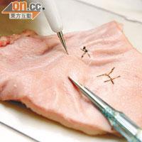 經高頻去斑儀「治療」後，豬皮留有黑色的燒焦痕迹。