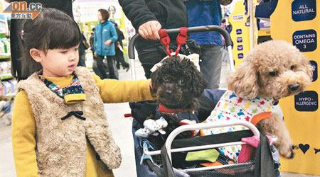外國實驗研究發現，養狗可減低兒童患哮喘機會。（資料圖片）