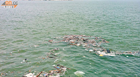 東涌新發展碼頭對出海面常有大量垃圾，市民擔心影響船隻航行。