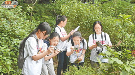 大埔環保會昨舉行觀蝶比賽，讓參賽者記錄及拍攝所見蝶種。（霍衍鋒提供）
