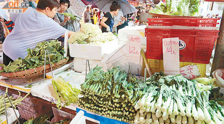 本港菜價昨日未見有太大升幅，維持十二至十四元一斤。（陳章存攝）