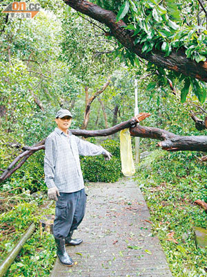 村民指工人未有清理其他阻路塌樹，要村民自行清理。（黃智康攝）