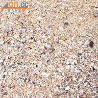 石澳泳灘的沙粒夾雜塑膠粒。