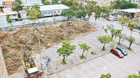 元朗東頭工業區一個公眾停車場，堆放了大量樹木殘枝，霸佔貨車泊位，令區內本已短缺的泊車位買少見少。（何耀其攝）