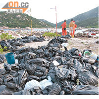 在指定集收區擺滿工作人員撈獲的大袋小袋膠粒。