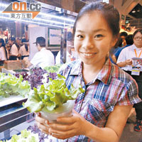 有參展商推廣可於家中自行種植的水耕生菜。