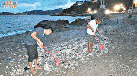 澳門海灘發現有膠粒，已派人清理。