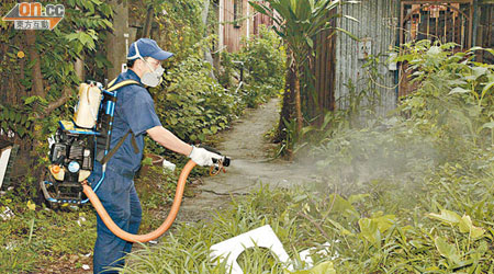 澳門政府已加強滅蚊，防登革熱擴散。（資料圖片）