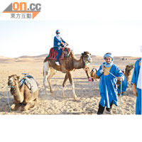 英國調查人員透露，感染「新沙士」的卡塔爾男子，曾接觸駱駝等動物，但未能確定是感染源頭。