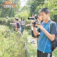 多名年輕人昨參與綠色力量舉行的香港蝴蝶節，拍攝蝴蝶照片。