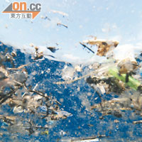 塑膠垃圾遍布海洋，破壞生態。（受訪者提供）