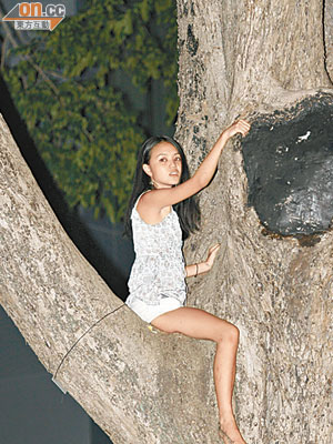 前年七‧一遊行，陳巧文曾爬上舊政府總部的樹上。